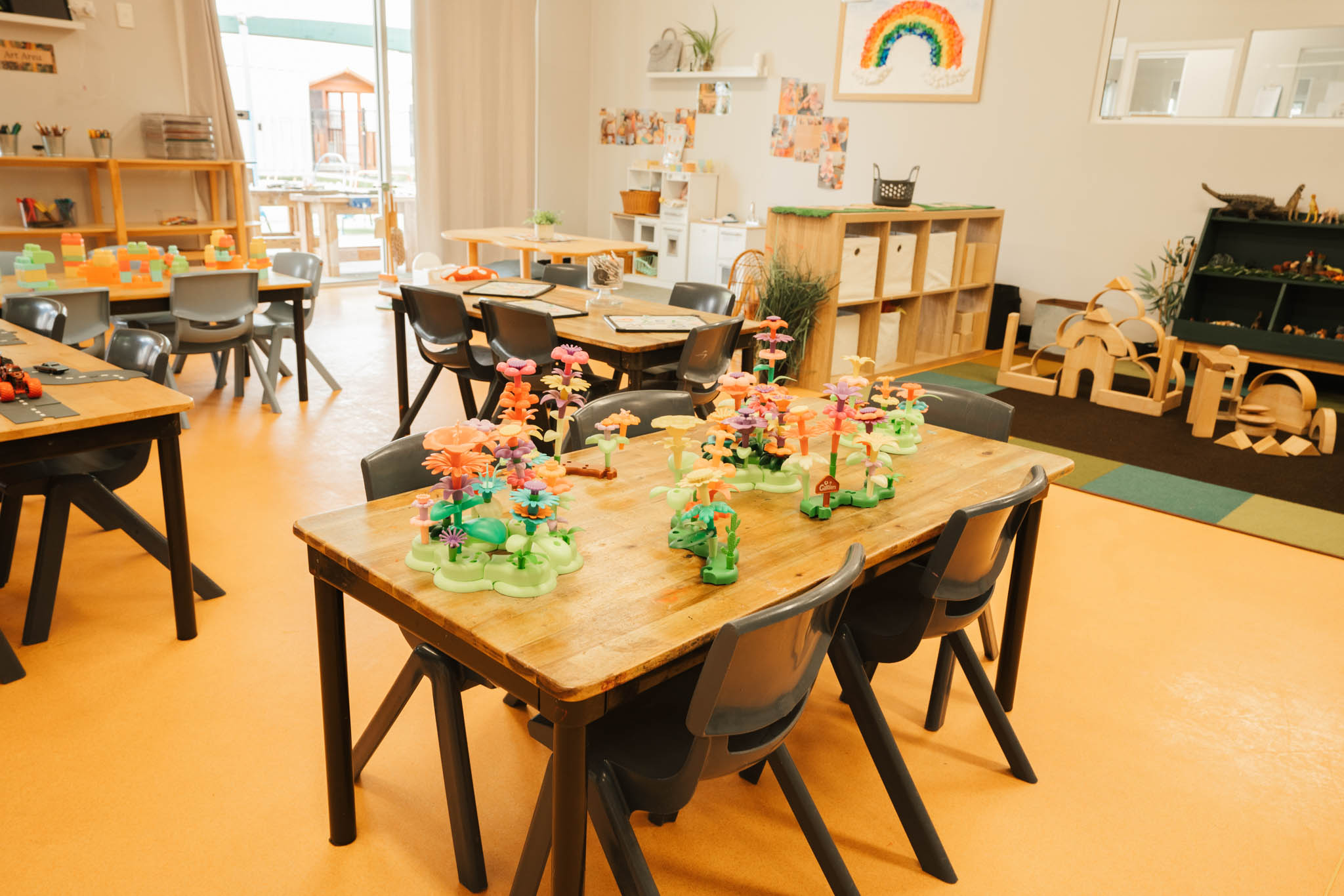 Senior Seedlings learning environment