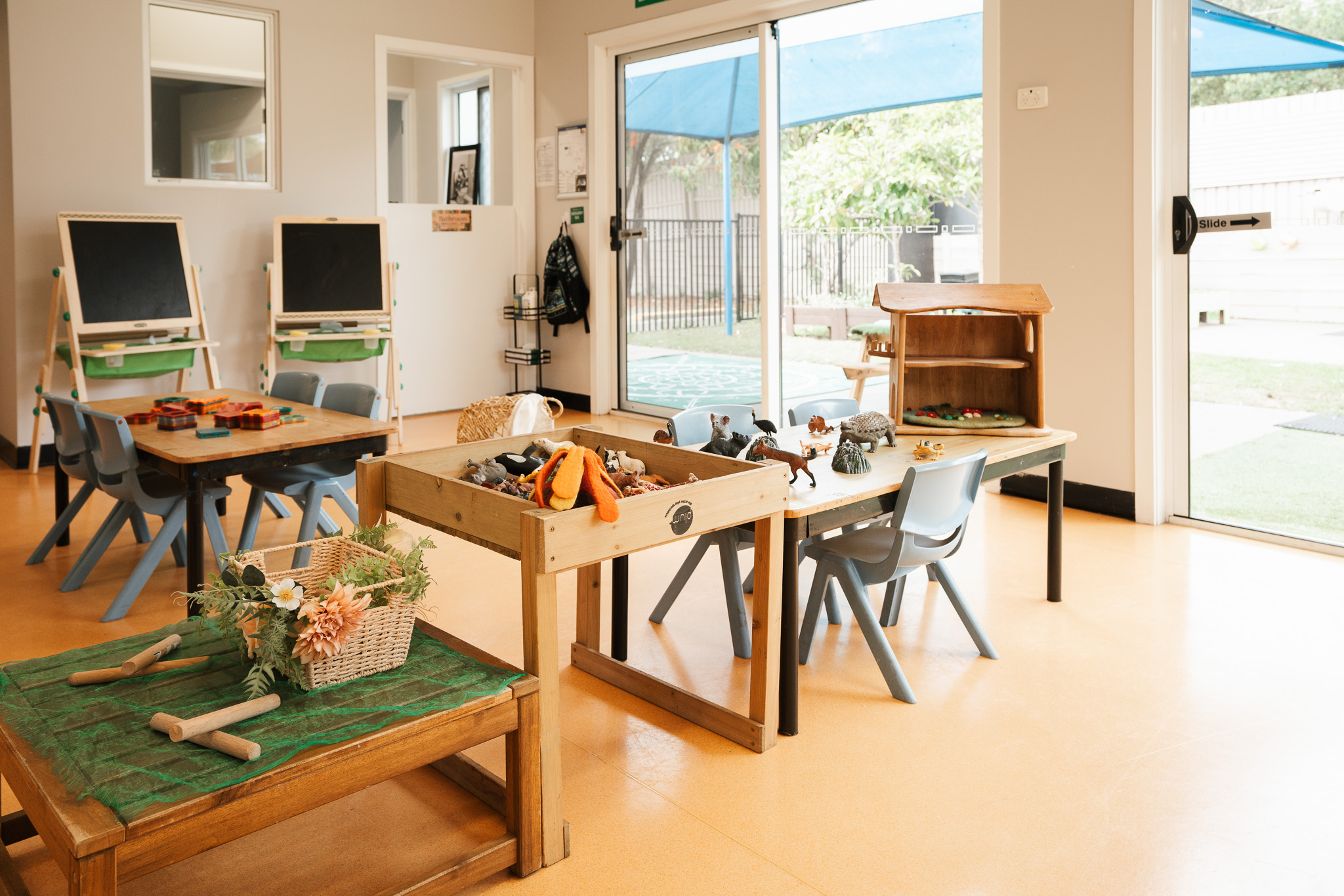 Senior Blossoms learning environment